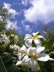 blog_import_54d5f874b54ce