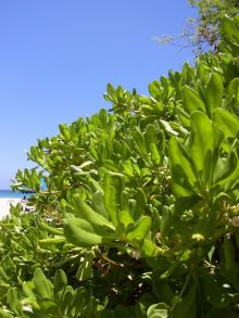 blog_import_54d5f892edda8