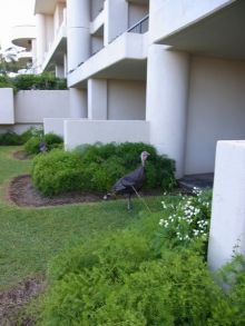 blog_import_54d5f8a5c8352