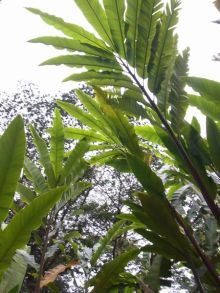 blog_import_54d5f8ad96de9