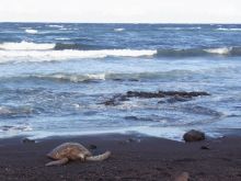 blog_import_54d5f8b5418ef