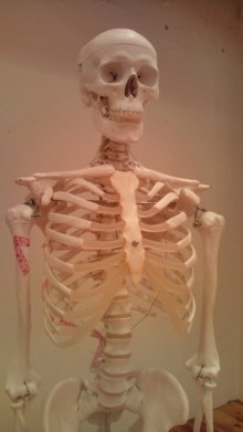 blog_import_54d5f918a377e