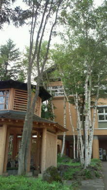 blog_import_54d5f91de980c