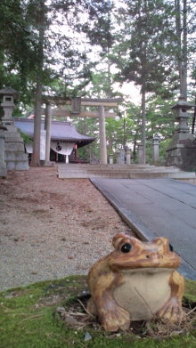 blog_import_54d5f92cf27b9