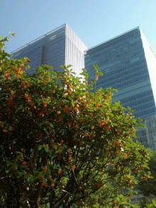 blog_import_54d5f98a76aa8