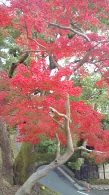 blog_import_54d5f9ef4545b