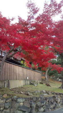 blog_import_54d5f9f31c538