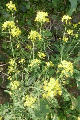 blog_import_54d5fa6b5b1ea