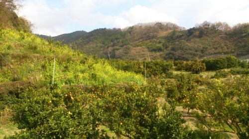 blog_import_54d5fa6fdd2c5