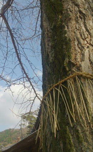 blog_import_54d5fa7dd0dbd