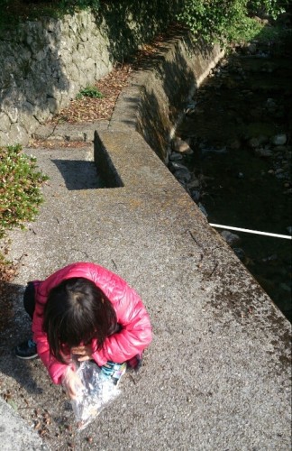 blog_import_54d5fa868be7e