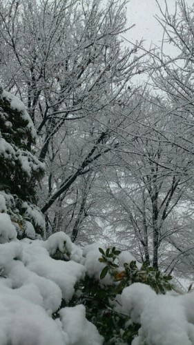 blog_import_54d5fad8991c9