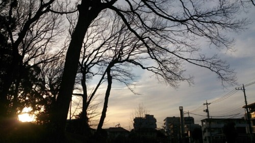 blog_import_54d5fafd52882