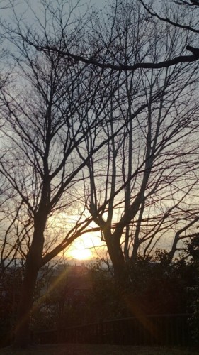 blog_import_54d5fb014a4a7