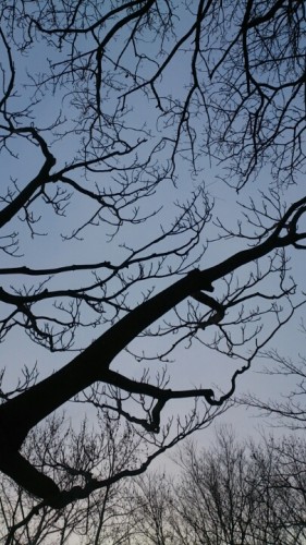 blog_import_54d5fb05693db