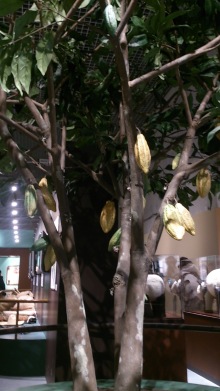 blog_import_54d5fb1f5dca7