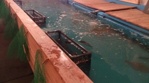 blog_import_54d5fb6bf4084