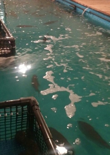 blog_import_54d5fb6f5bb37