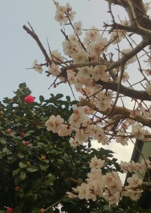 blog_import_54d5fb90d030e