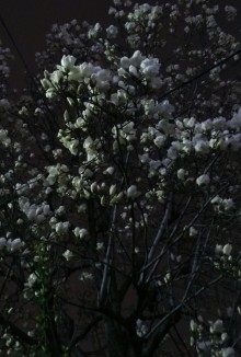 blog_import_54d5fba1983ed