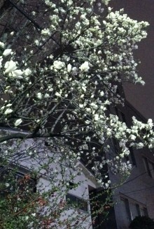 blog_import_54d5fba3186f6