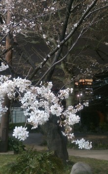 blog_import_54d5fbaa8b048