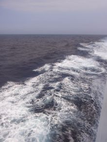 blog_import_54d5fc0917191