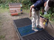 blog_import_54d5fc1286200