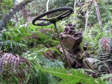 blog_import_54d5fc1696c6a