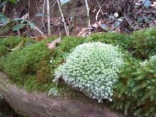 blog_import_54d5fc1a4f475