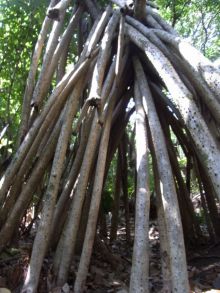 blog_import_54d5fc1d4aa7a