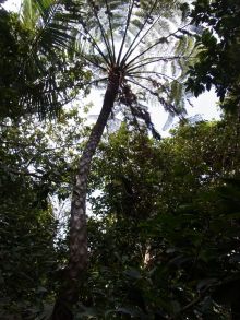 blog_import_54d5fc1ecd92d