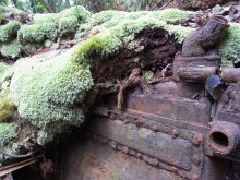 blog_import_54d5fc206172a