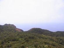 blog_import_54d5fc243a4c7