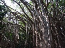 blog_import_54d5fc381e027