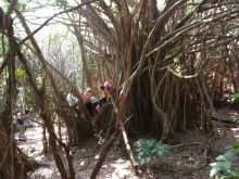 blog_import_54d5fc3ae7e32