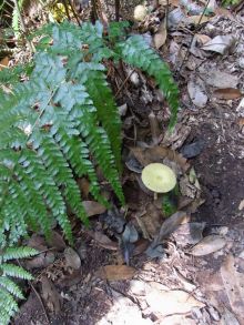 blog_import_54d5fc3c30b05