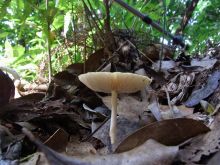 blog_import_54d5fc3d84ce2