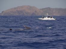 blog_import_54d5fc5e6fa6d