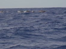 blog_import_54d5fc5f71948