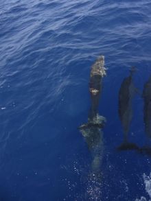 blog_import_54d5fc60bc3c5