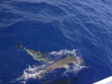 blog_import_54d5fc61a303e