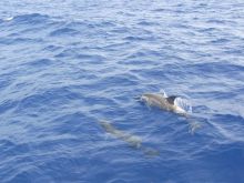 blog_import_54d5fc63c293f