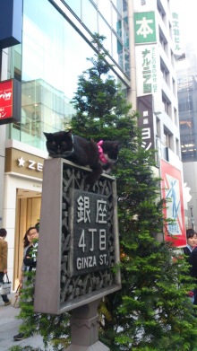 blog_import_54d5fc7d98d52