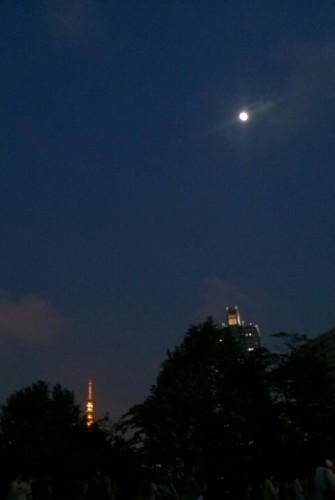 blog_import_54d5fca73133d