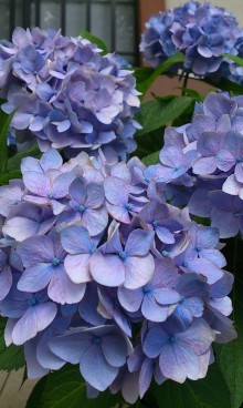 blog_import_54d5fce754260