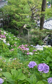 blog_import_54d5fced6f5f1