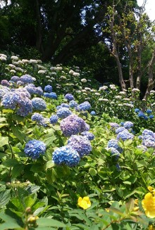 blog_import_54d5fcf08da1a