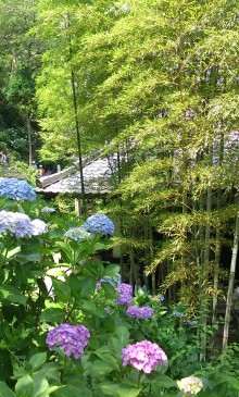 blog_import_54d5fcf8d31ef