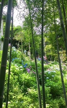 blog_import_54d5fcfa1bb06